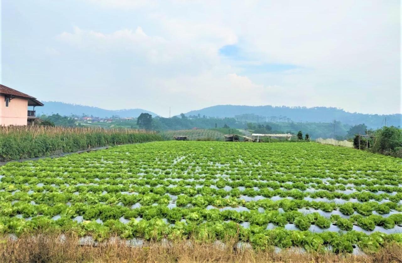 Villa Lembang Bunda Cikareumbi Exteriör bild